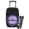 ALTAVOZ A350 AMPLIFICADO 12" 350W | BATERIA 4500 | 2 X MICROFONOS | 50W RMS - CS0142