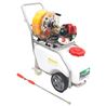 CARRETILLA SULFATAR 50L. 2T MADER - 69085-6