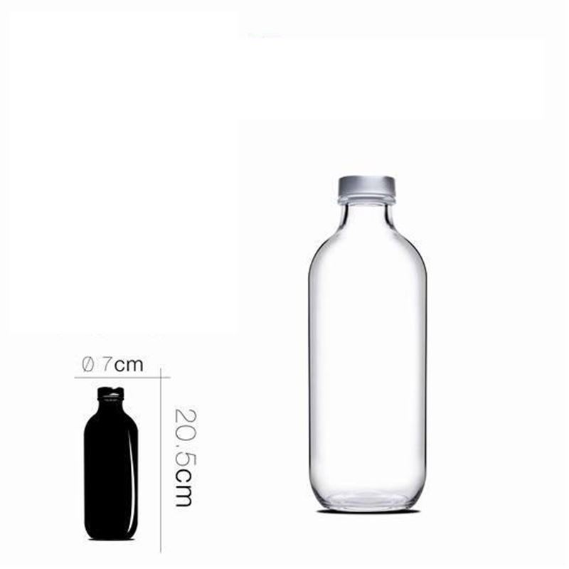 BOTELLA DE CRISTAL ICONIC 0.5 LITROS PASABAHCE - 20724