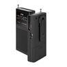RADIO PORTATIL ICY MAX SPC NEGRA - 4588N-1