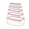 SET 5 TUPPER RECTANGULARES ROSA 330-530-850-1300-2100ML - 04132_1