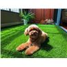 CESPED ARTIFICIAL 2X5 METROS 20MM SERIE ELEGANT SUNGARDEN - SG0012-4