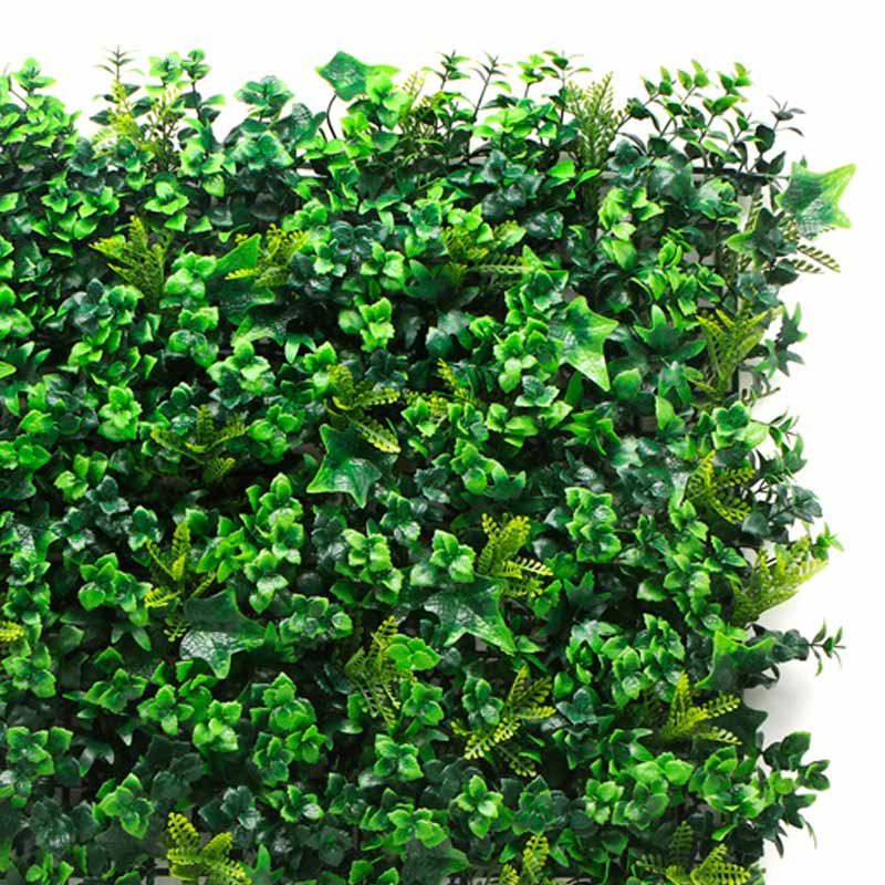 JARDIN VERTICAL 50X50CM SERIE BOTÁNICO SUNGARDEN - SG0002-2