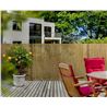 CAÑIZO NATURAL ENTERO 1X3 METROS SUNGARDEN - SG0049-1