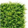 JARDIN VERTICAL 50X50CM SERIE JARDINO SUNGARDEN - SG0003-2
