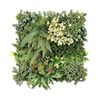 JARDIN VERTICAL 50X50CM SERIE ECOVIS SUNGARDEN - SG0145-1