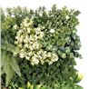 JARDIN VERTICAL 50X50CM SERIE ECOVIS SUNGARDEN - SG0145-2