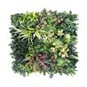 JARDIN VERTICAL 50X50CM SERIE NATURIA SUNGARDEN - SG0148-1