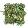 JARDIN VERTICAL 50X50CM SERIE BIONIA SUNGARDEN - SG0144-1