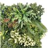 JARDIN VERTICAL 50X50CM SERIE BIONIA SUNGARDEN - SG0144-2