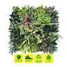 JARDIN VERTICAL 50X50CM SERIE ARBÓREA SUNGARDEN - SG0149