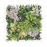 JARDIN VERTICAL 50X50CM SERIE MURALIA SUNGARDEN - SG0151-1