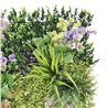 JARDIN VERTICAL 50X50CM SERIE MURALIA SUNGARDEN - SG0151-2