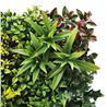 JARDIN VERTICAL 50X50CM SERIE GREENWALL SUNGARDEN - SG0146-2