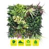 JARDIN VERTICAL 50X50CM SERIE VERDIVIA SUNGARDEN - SG0147