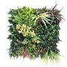 JARDIN VERTICAL 50X50CM SERIE VERDIVIA SUNGARDEN - SG0147-1