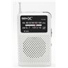 RADIO PORTATIL AM/FM ANALOGICA GRIS FM-4402 GEN-X - FM-4402-1