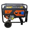 GENERADOR GASOLINA 7700W BLIM - BL0462-1