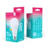 BOMBILLA LED A65 | 17W | 2100LM | E27 | LUZ BLANCA | FOREVER - RTV9000011