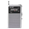 RADIO PORTATIL AM/FM ANALOGICA PLATA FM-4401 GEN-X - FM-4401-1