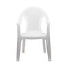 SILLA CON REPOSABRAZOS RATTAN BLANCA - 76194-1