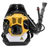 SOPLADOR DE MOCHILA DE GASOLINA 52CC BLIM - BL0622-5