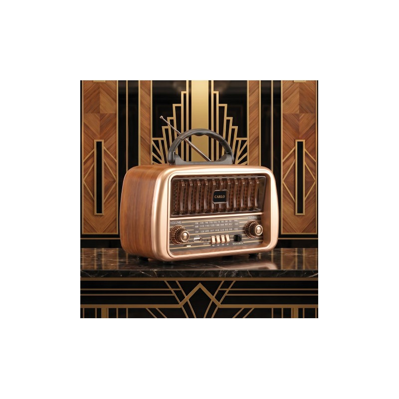 RADIO CARLO AM/FM JB-105 T USB...