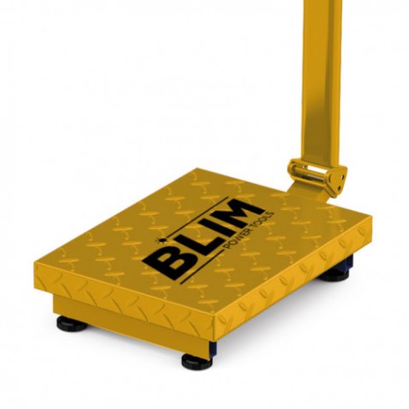 BASCULA INDUSTRIAL CON PLATAFORMA Y DISPLAY LCD 300KG BLIM