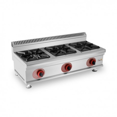 COCINA A GAS PROFESIONAL 3 FUEGOS CHEF PRO