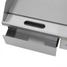 PLANCHA ELÉCTRICA PROFESIONAL SUPERFICIE LISA 3000W CHEF PRO