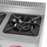 COCINA A GAS PROFESIONAL 2 FUEGOS CHEF PRO