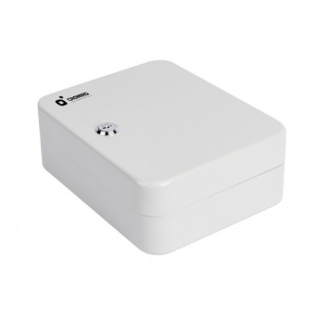 ARMARIO DE SEGURIDAD PARA LLAVES 20X16X8CM 20PCS CROMAD
