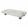 PLATAFORMA RECTANGULAR CON RUEDAS 480X290X38MM ARTPLAST