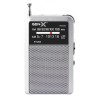 RADIO PORTATIL AM/FM ANALOGICA PLATA FM-4401 GEN-X