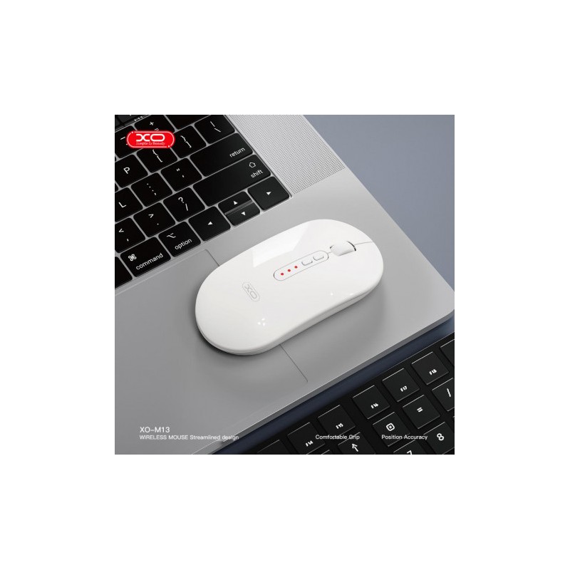 RATON INALAMBRICO WIRELESS /...