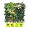 JARDIN VERTICAL 50X50CM SERIE VERDIVIA SUNGARDEN