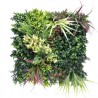 JARDIN VERTICAL 50X50CM SERIE VERDIVIA SUNGARDEN