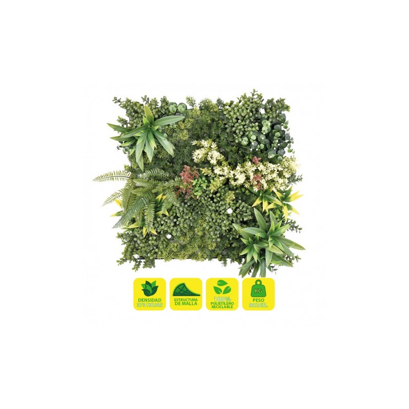 JARDIN VERTICAL 50X50CM SERIE OASYS...