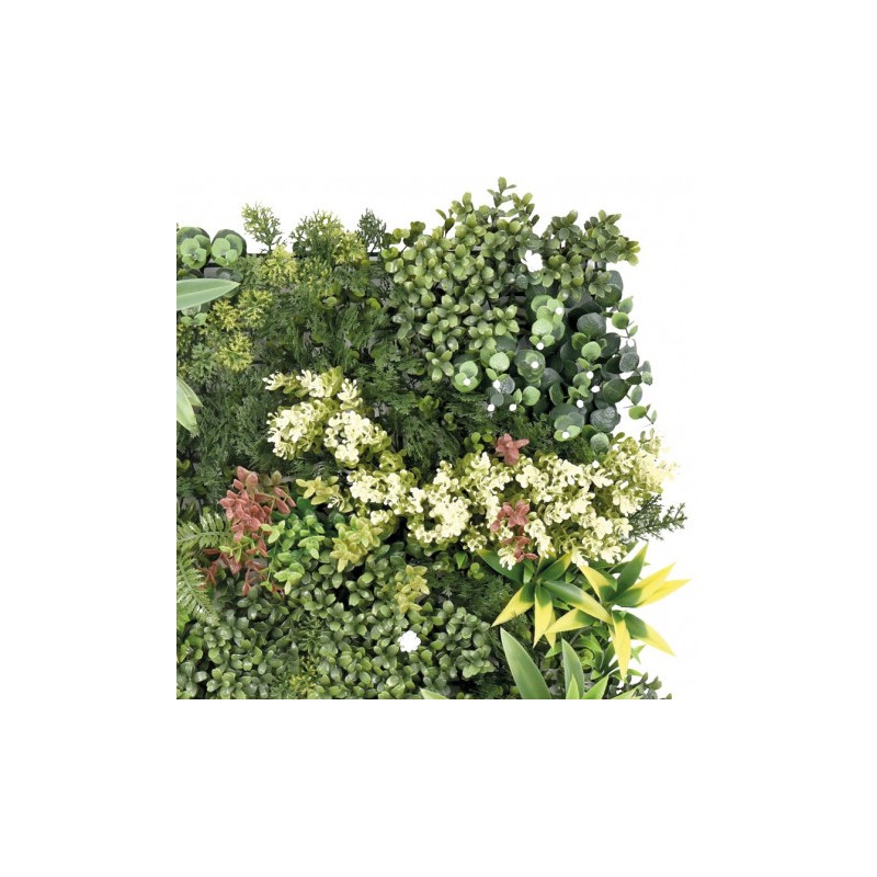JARDIN VERTICAL 50X50CM SERIE OASYS...