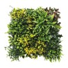 JARDIN VERTICAL 50X50CM SERIE GREENWALL SUNGARDEN