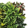 JARDIN VERTICAL 50X50CM SERIE GREENWALL SUNGARDEN