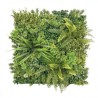 JARDIN VERTICAL 50X50CM SERIE ECOFLORA SUNGARDEN