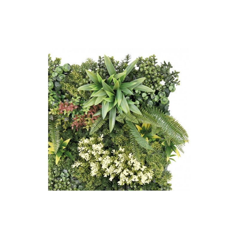JARDIN VERTICAL 50X50CM SERIE BIONIA...