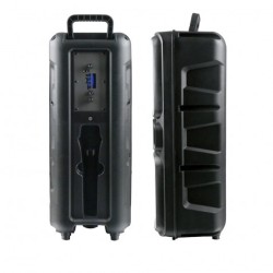 ALTAVOZ KARAOKE RGB 20W CON... 2