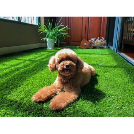 CESPED ARTIFICIAL 2X5 METROS 20MM SERIE ELEGANT SUNGARDEN