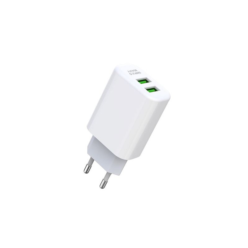 PACK CARGADOR DE CORRIENTE L85C 2.4A...