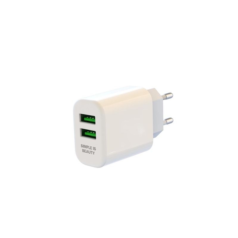 PACK CARGADOR DE CORRIENTE L85C 2.4A...