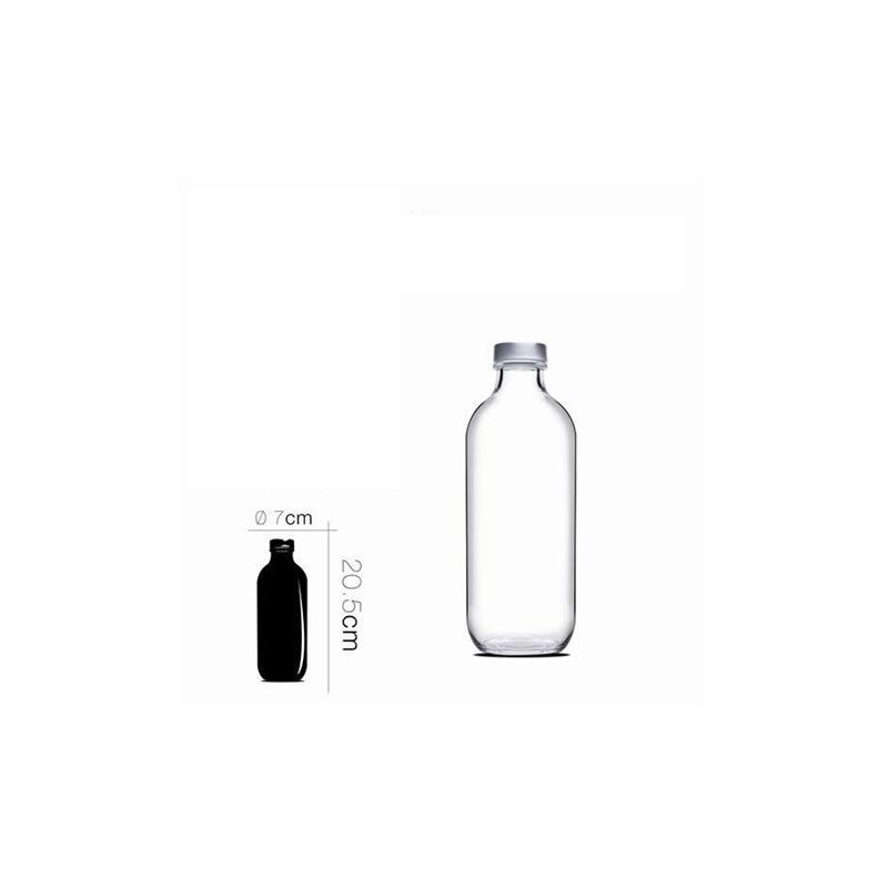 BOTELLA DE CRISTAL ICONIC 0.5 LITROS...