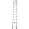 ESCALERA EXTENSIBLE ALUMINIO 10 PELDAÑOS 3.2 METROS MADER