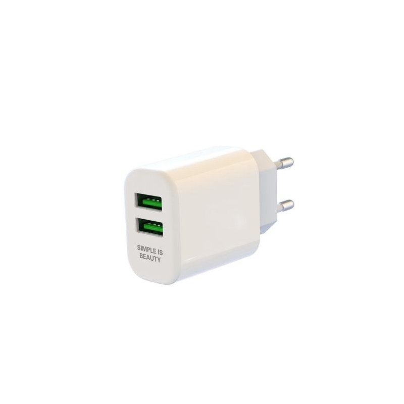 PACK CARGADOR DE CORRIENTE L85C 2.4A...